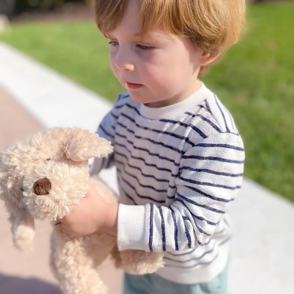 BENTLY THE GOLDEN DOODLE