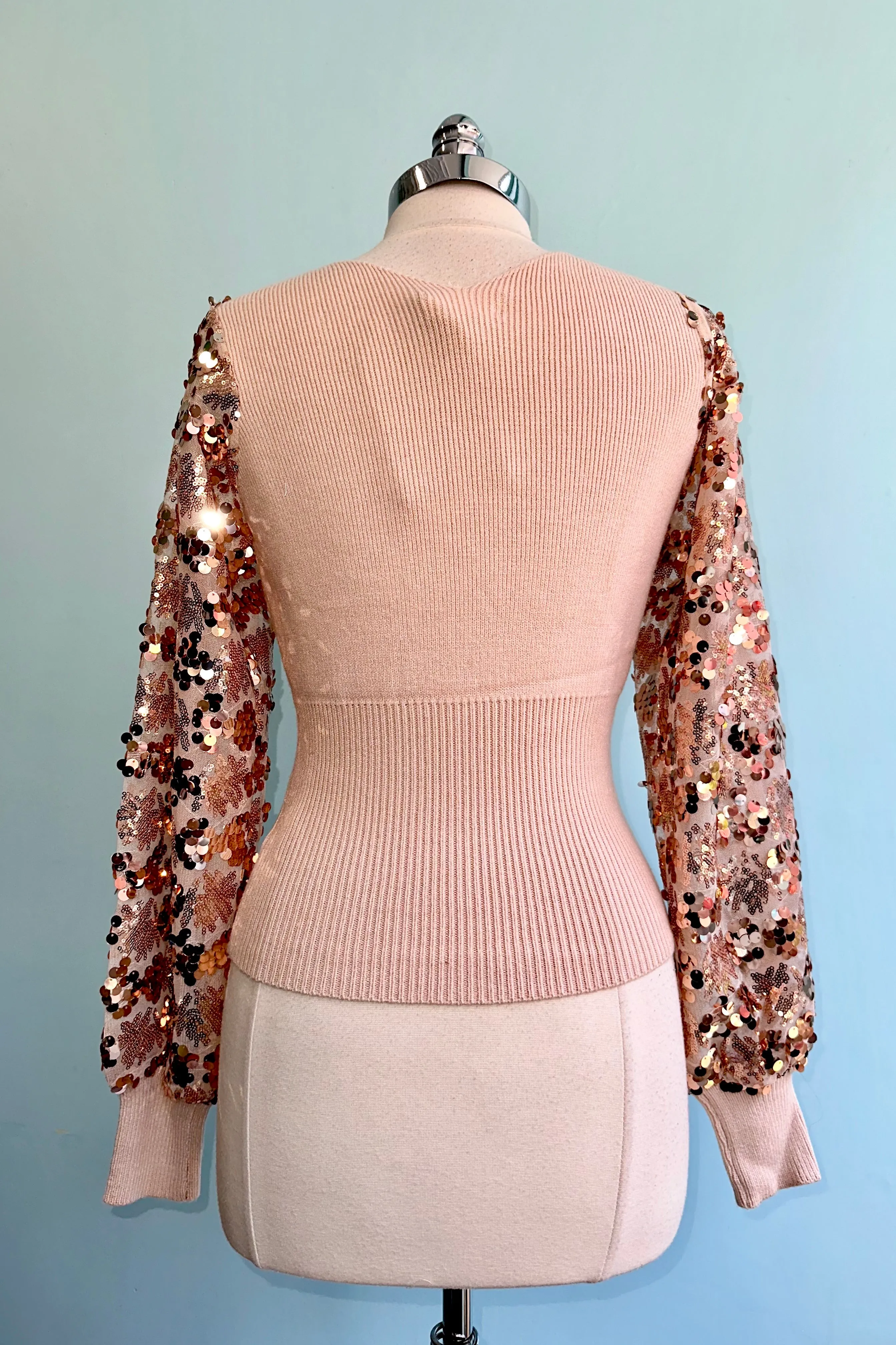 Blush Sequin Sleeve Sweater